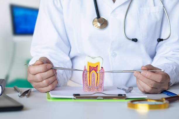 Best Emergency Root Canal Treatment in Winona, MN